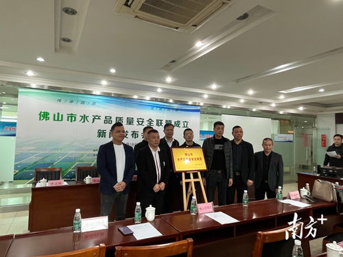何氏水產(chǎn)等發(fā)起成立佛山市農(nóng)業(yè)領(lǐng)域首個(gè)質(zhì)量安全聯(lián)盟
