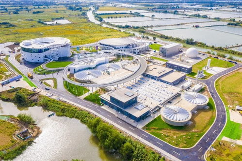 污水處理廠升級(jí)打造為資源循環(huán)工廠 宜興概念廠獲 全球創(chuàng)新大獎(jiǎng)