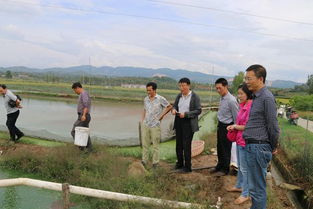 陜西省加強(qiáng)水產(chǎn)投入品監(jiān)管 現(xiàn)場(chǎng)抽查工作助力畜牧漁業(yè)飼料安全銷售